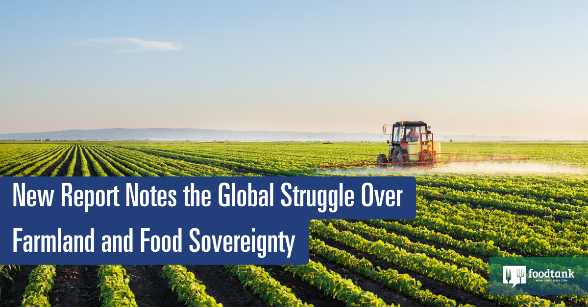 New Report Notes the Global Struggle Over Farmland and Food Sovereignty – Food Tank