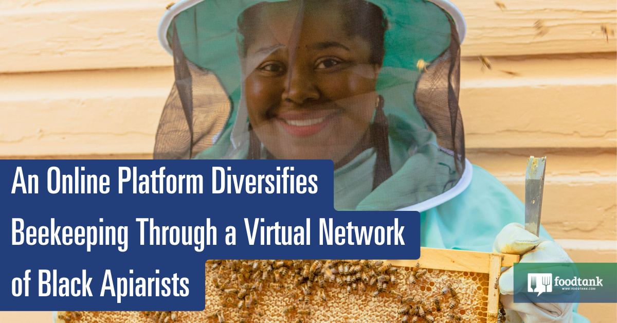 An Online Platform Diversifies Beekeeping through a Virtual Network of Black Apiarists – Food Tank