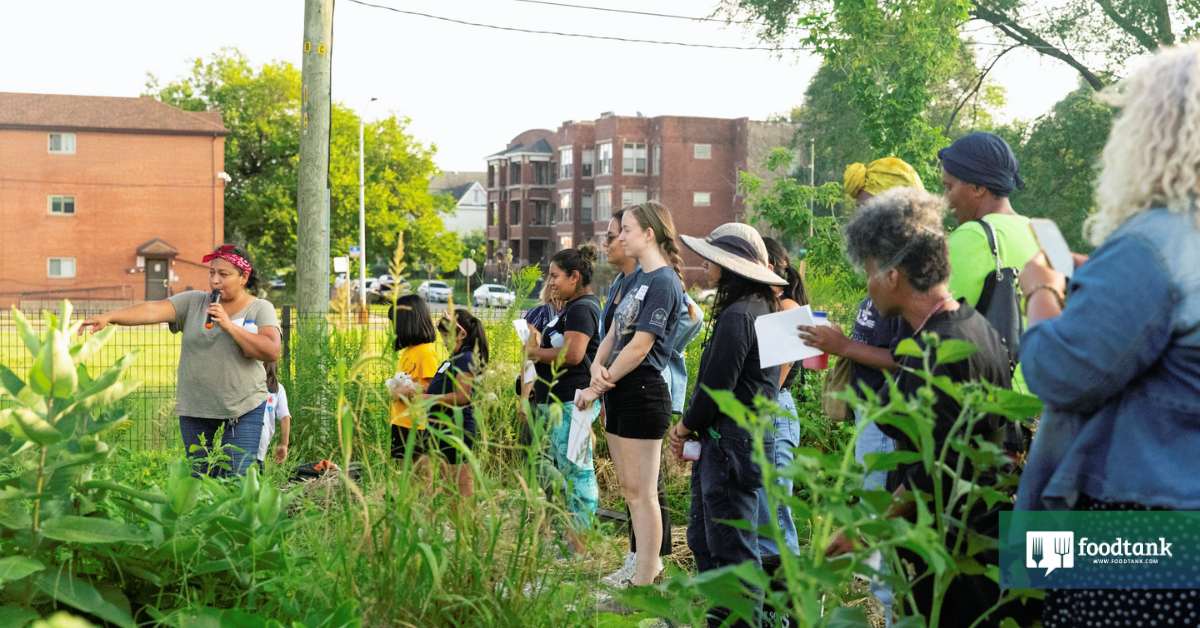 Community Food Navigator Leading The Way Toward Food Sovereignty in Chicago – Food Tank