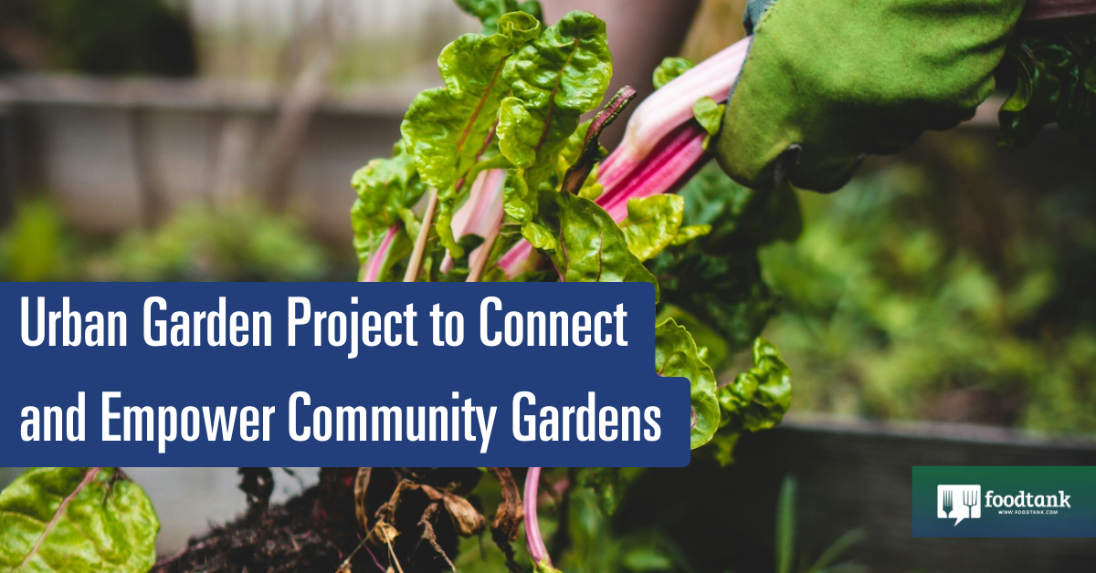 Urban Garden Project to Connect and Empower Community Gardens – Food Tank