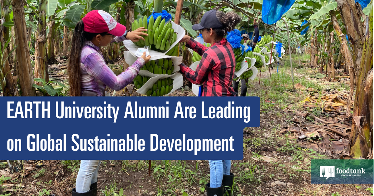 EARTH University Alumni Are Leading on Global Sustainable Development – Food Tank