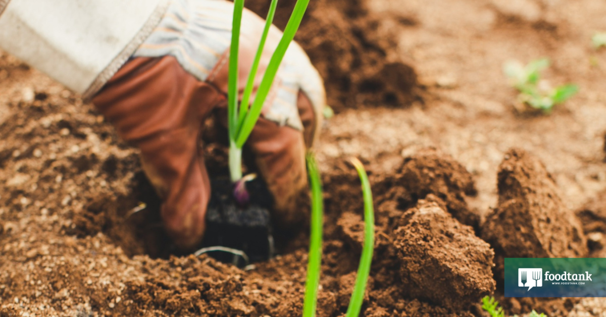 Progress in The Meals System Means Empowering Eaters—At present and for Generations to Come – Meals Tank