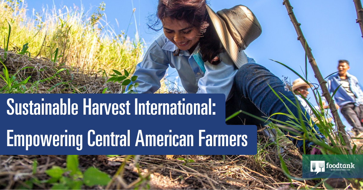 Empowering Central American Farmers – Food Tank