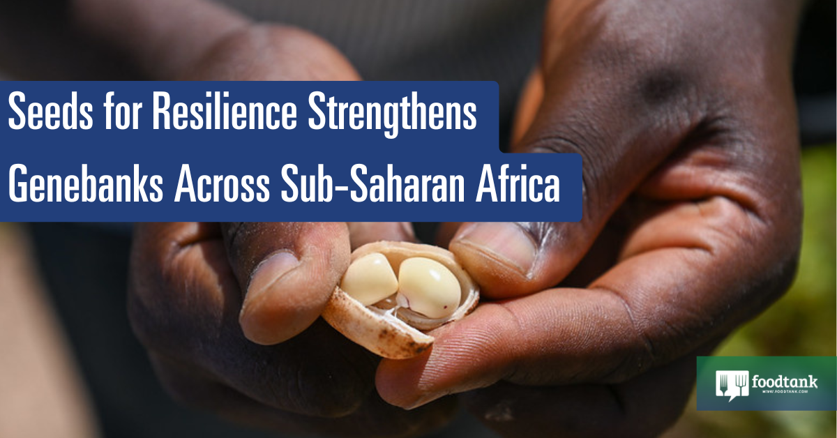 Seeds for Resilience Strengthens Genebanks Across Sub-Saharan Africa – Food Tank