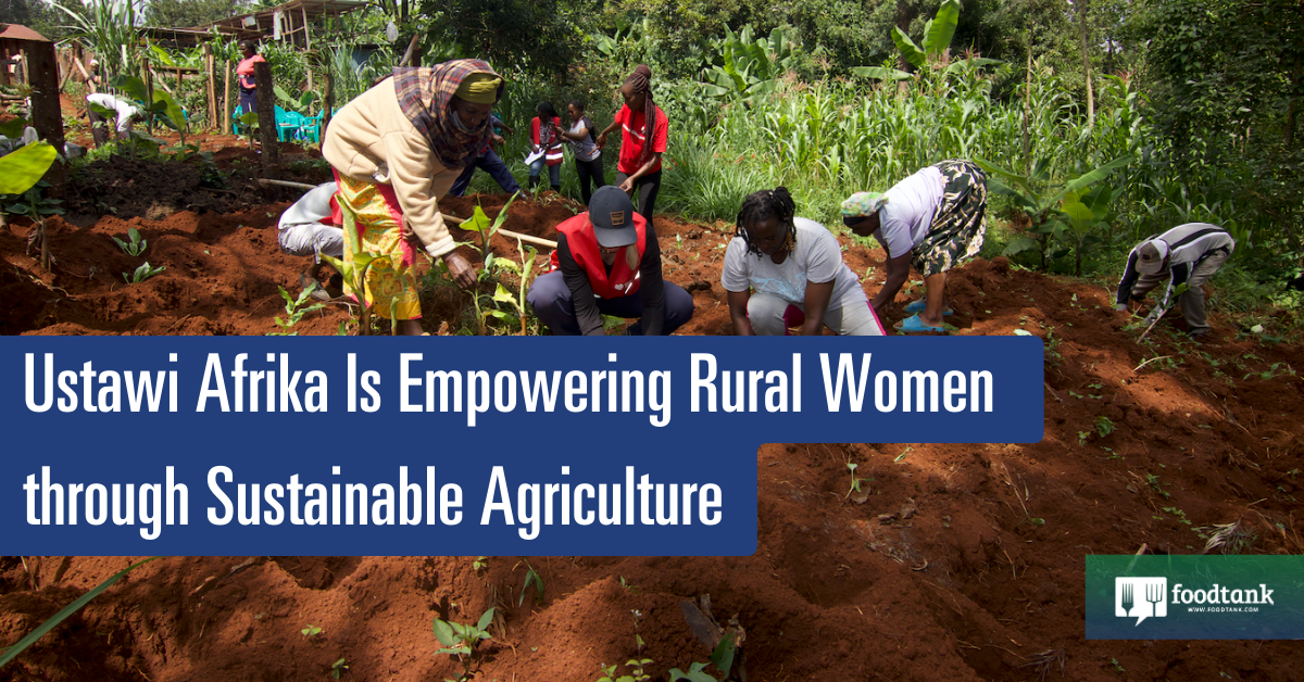 Ustawi Afrika Is Empowering Rural Women through Sustainable Agriculture – Food Tank