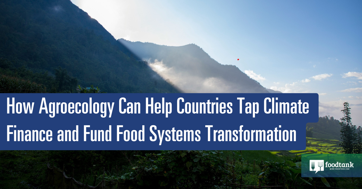 How Agroecology Can Help Countries Tap Climate Finance and Fund Food Systems Transformation – Food Tank