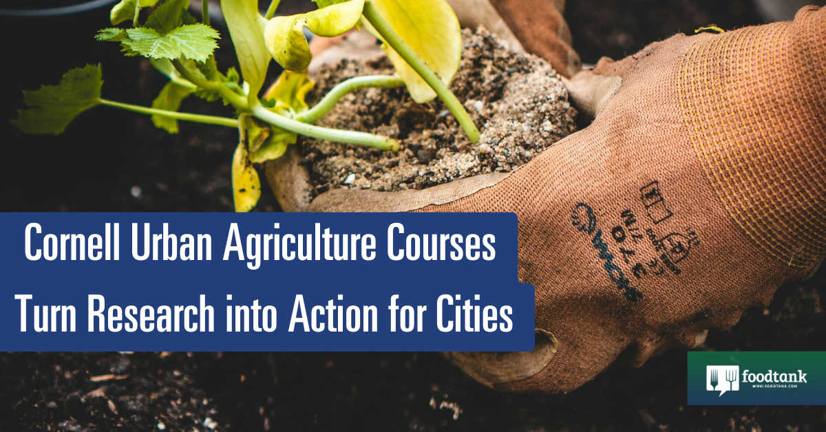 Cornell City Agriculture Programs Flip Analysis into Motion for Cities – Meals Tank